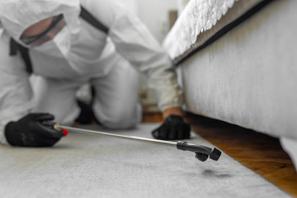 Professional Bed Bug Control technician working in Chiefland, FL